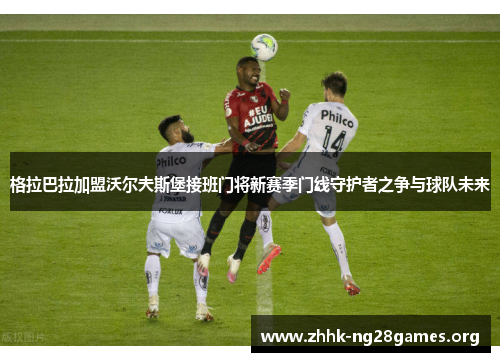 格拉巴拉加盟沃尔夫斯堡接班门将新赛季门线守护者之争与球队未来