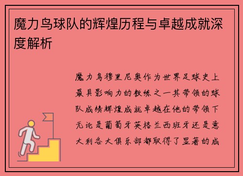 魔力鸟球队的辉煌历程与卓越成就深度解析